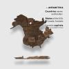 Enjoy The Wood 3D Wood World Map Wall Art Large Wall Décor – World Travel Map – Any Occasion Gift Idea – Wall Art for Home & Kitchen or Office (Small, Dark Walnut)(Dark Walnut)