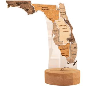 Wooden USA Map Night Light with LED – Handmade State Map Lamp, Warm & RGB Backlight, Alder Wood & Acrylic Engraved Decor, Travel & Patriotic Gift, Bedroom Wall Light (Georgia)(Florida)